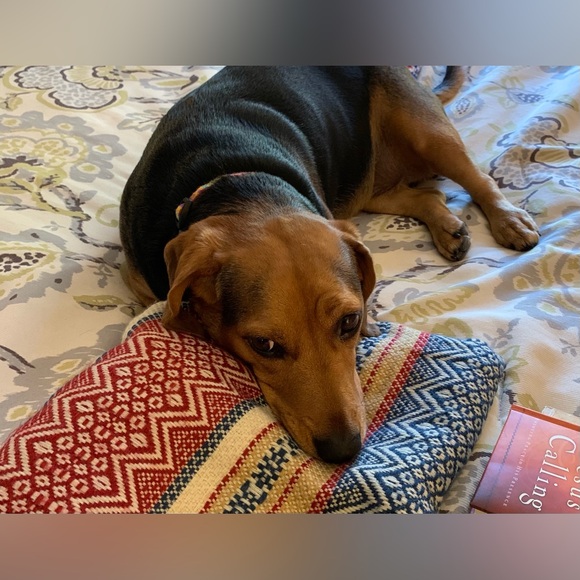 Helpingwomen Live Notification - Picture 2 of 7